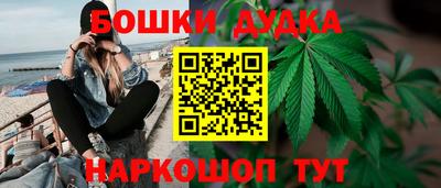 индика Балашиха