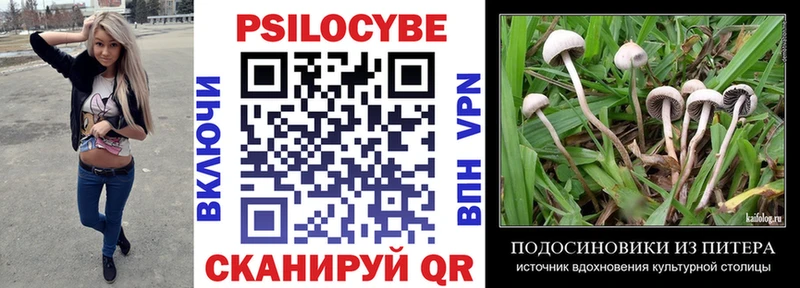 Псилоцибиновые грибы Psilocybe  купить закладку  нарко площадка наркотические препараты  Вязьма 