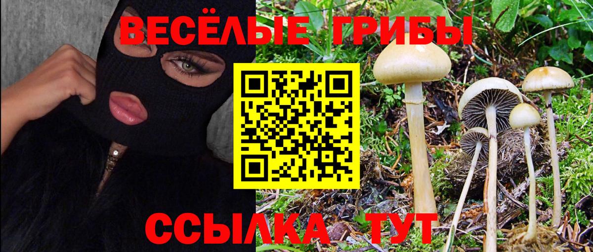 Галлюциногенные грибы прущие грибы Вязьма