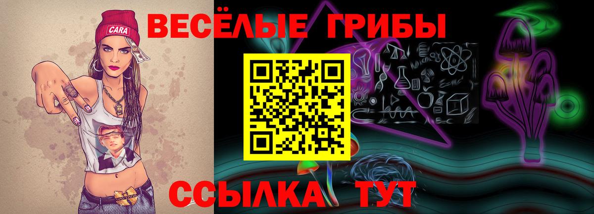 Галлюциногенные грибы прущие грибы  Вход с VPN  Вязьма  Галлюциногенные грибы ЛСД 